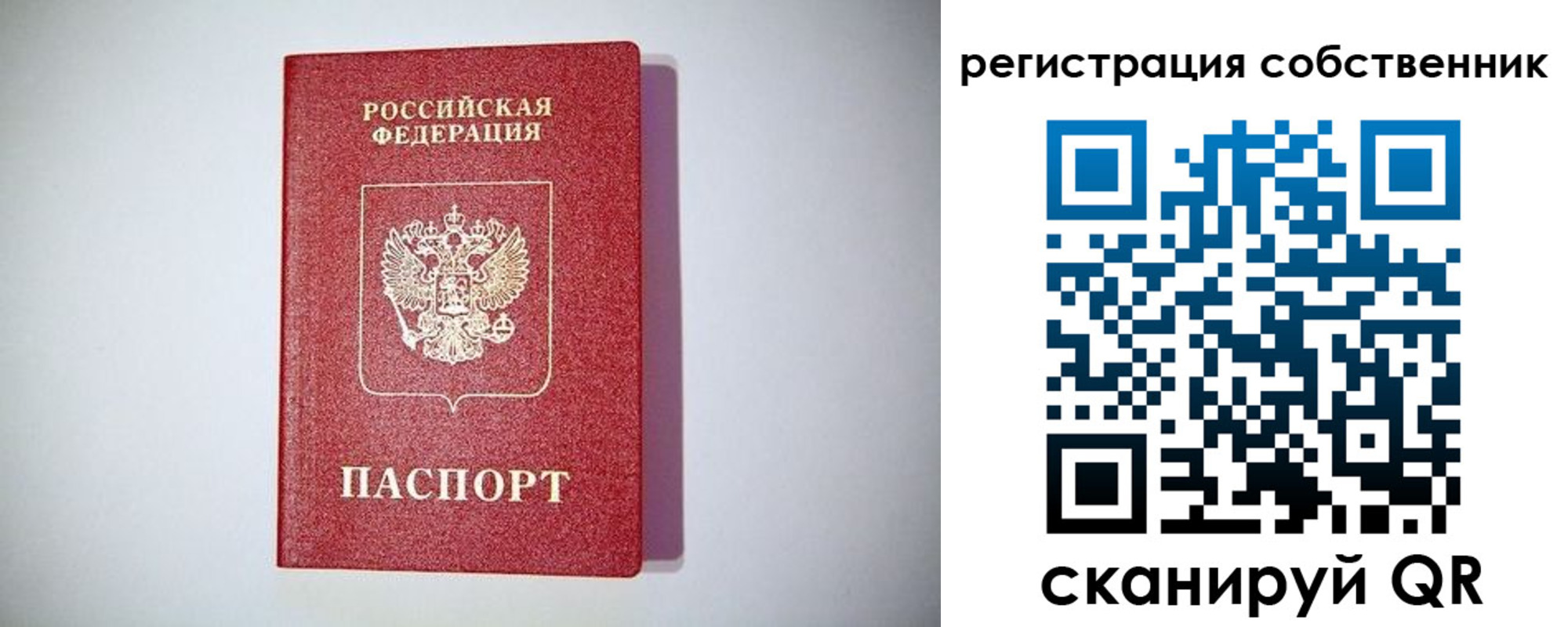 временная регистрация для школы в Шали